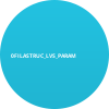 0FILASTRUC_LVS_PARAM