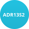 ADR13S2