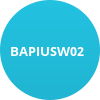 BAPIUSW02