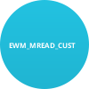 EWM_MREAD_CUST