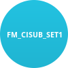 FM_CISUB_SET1