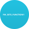 FM_SETS_FUNCTION1