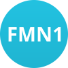 FMN1