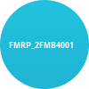 FMRP_2FMB4001
