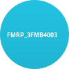 FMRP_3FMB4003