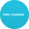 FMRP_3FMB4004