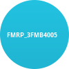 FMRP_3FMB4005