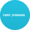 FMRP_3FMB4006