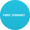 FMRP_3FMB4007