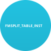 FMSPLIT_TABLE_INST