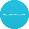 FN_CL_PRODUCT_ATTR