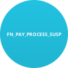 FN_PAY_PROCESS_SUSP