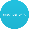 FNEXP_DET_DATA