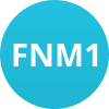 FNM1