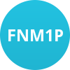 FNM1P