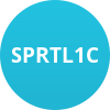 SPRTL1C
