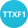 TTXF1